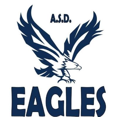 logo volley eagles
