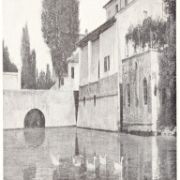 Scansione0014