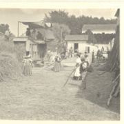 Scansione0056