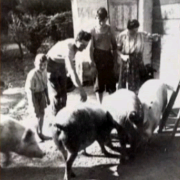 lavoro4