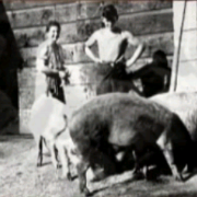 lavoro5